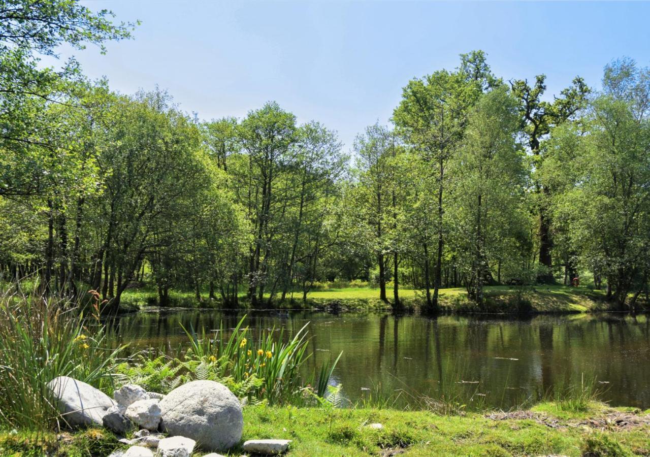 River Lodge - Cornwall Cardinham Εξωτερικό φωτογραφία