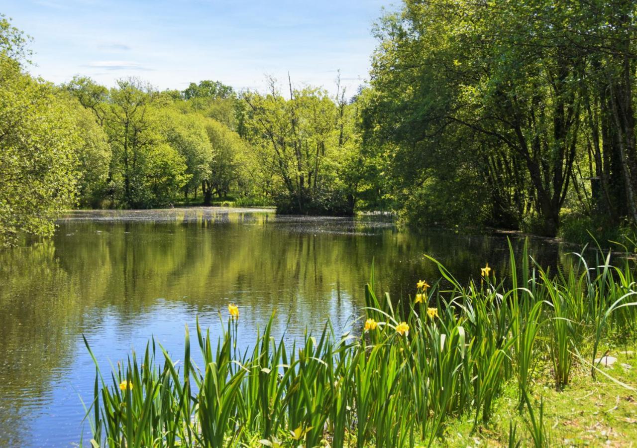 River Lodge - Cornwall Cardinham Εξωτερικό φωτογραφία