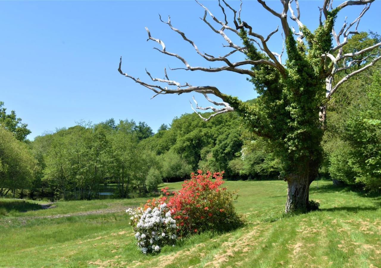 River Lodge - Cornwall Cardinham Εξωτερικό φωτογραφία
