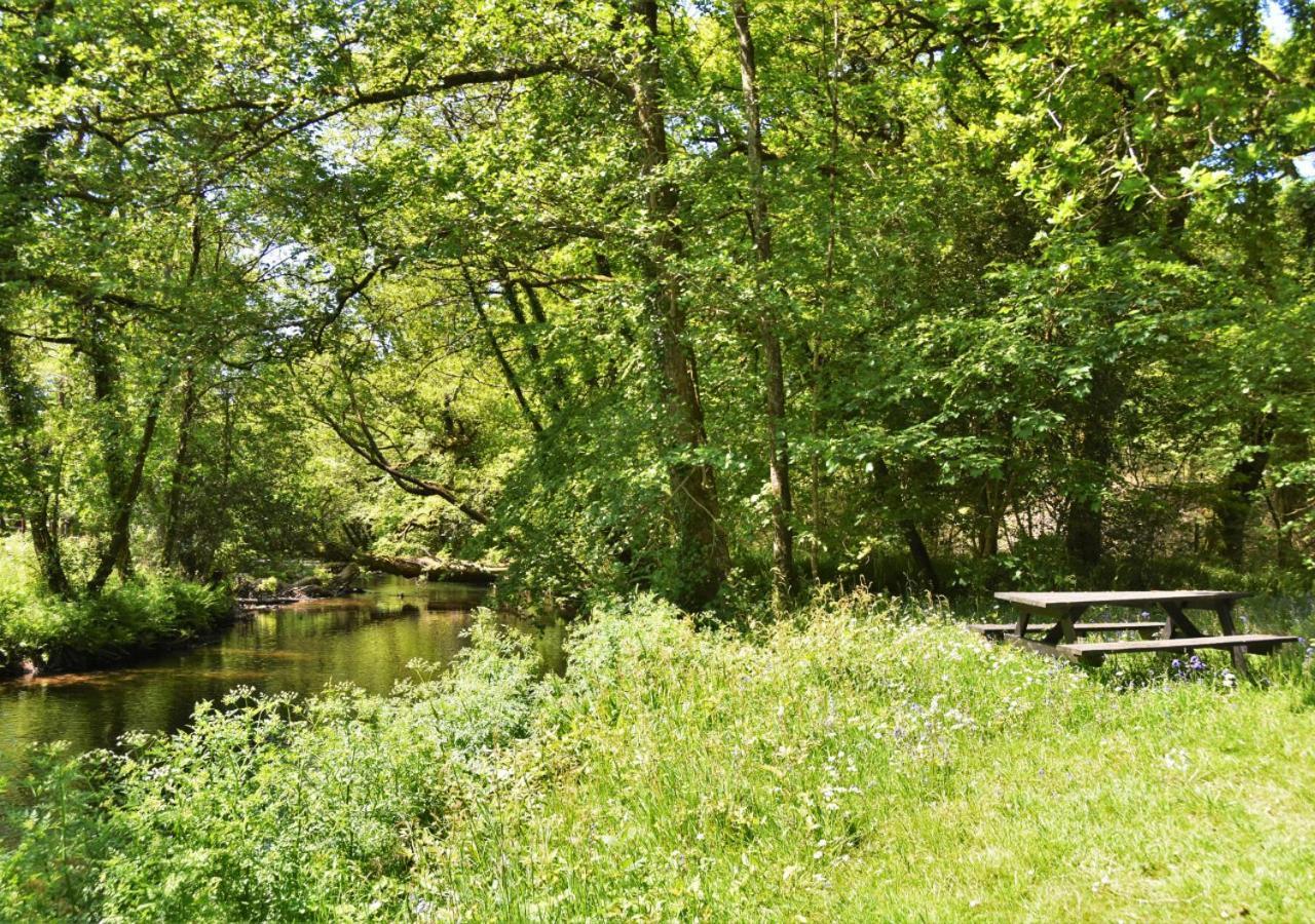 River Lodge - Cornwall Cardinham Εξωτερικό φωτογραφία